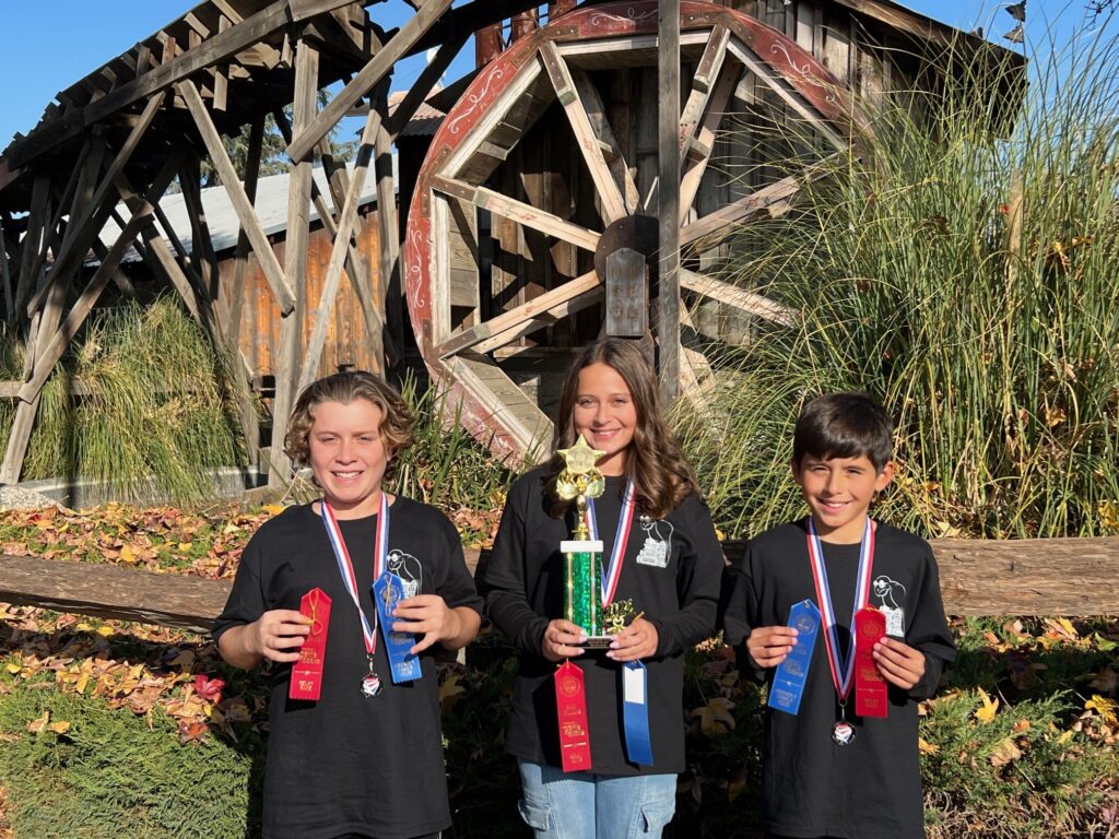 Team Awards